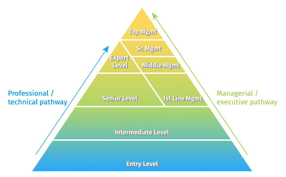 accton career paths professional executive
