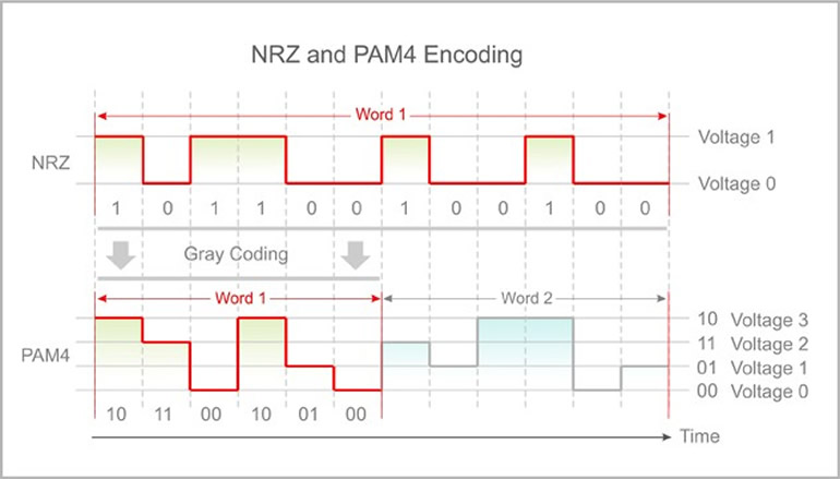 TB_400G02 nrz and pam4 encoding