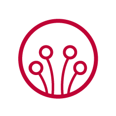 icon red fiber optics