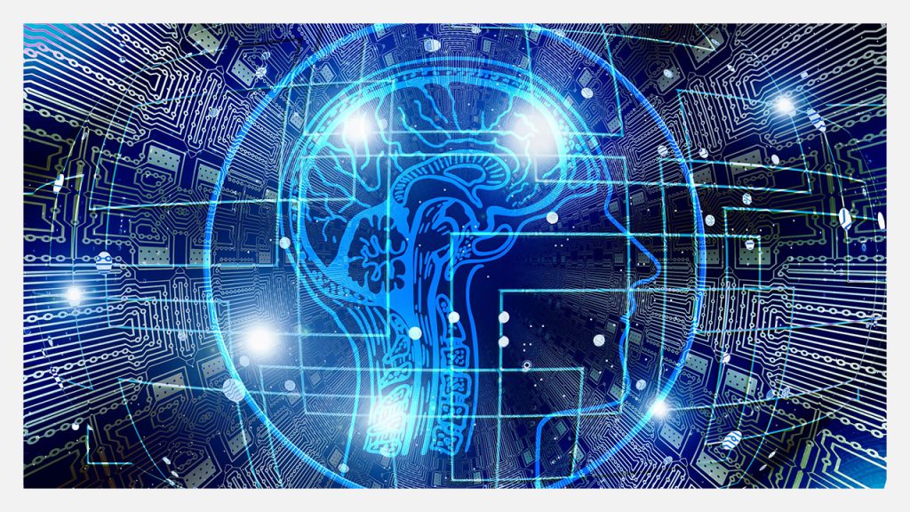 design development brain blueprint