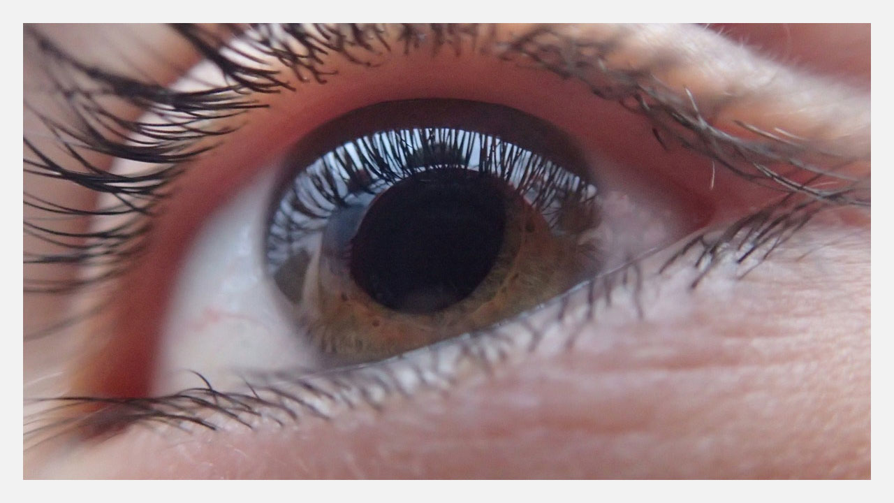 brown eye close up volt concepts