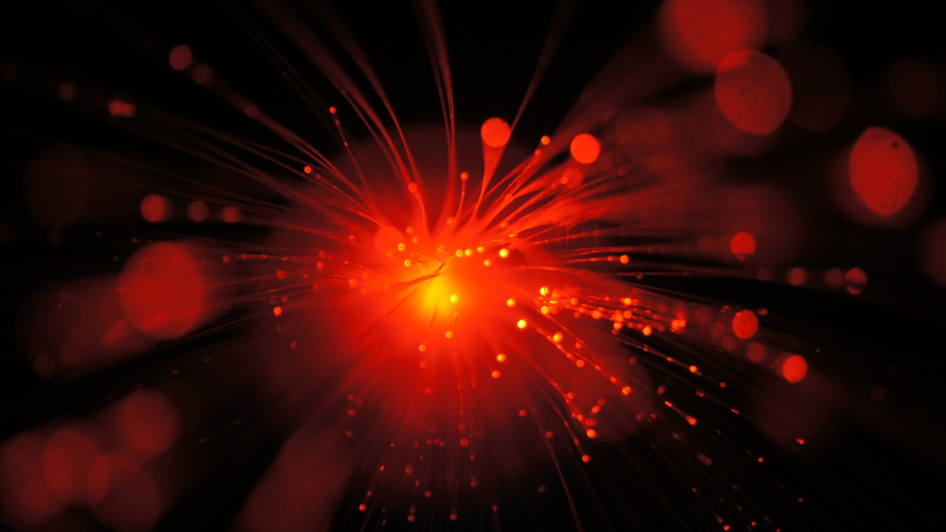 technology brief covering coherent optics efficiency and capacity
