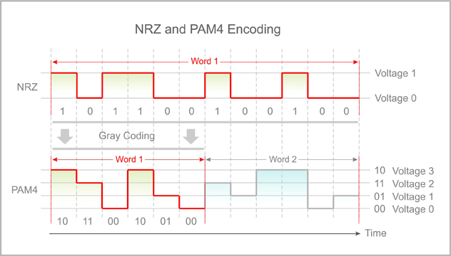 What is a PAM4 Signal vs NRZ PAM4 Signal vs NRZ