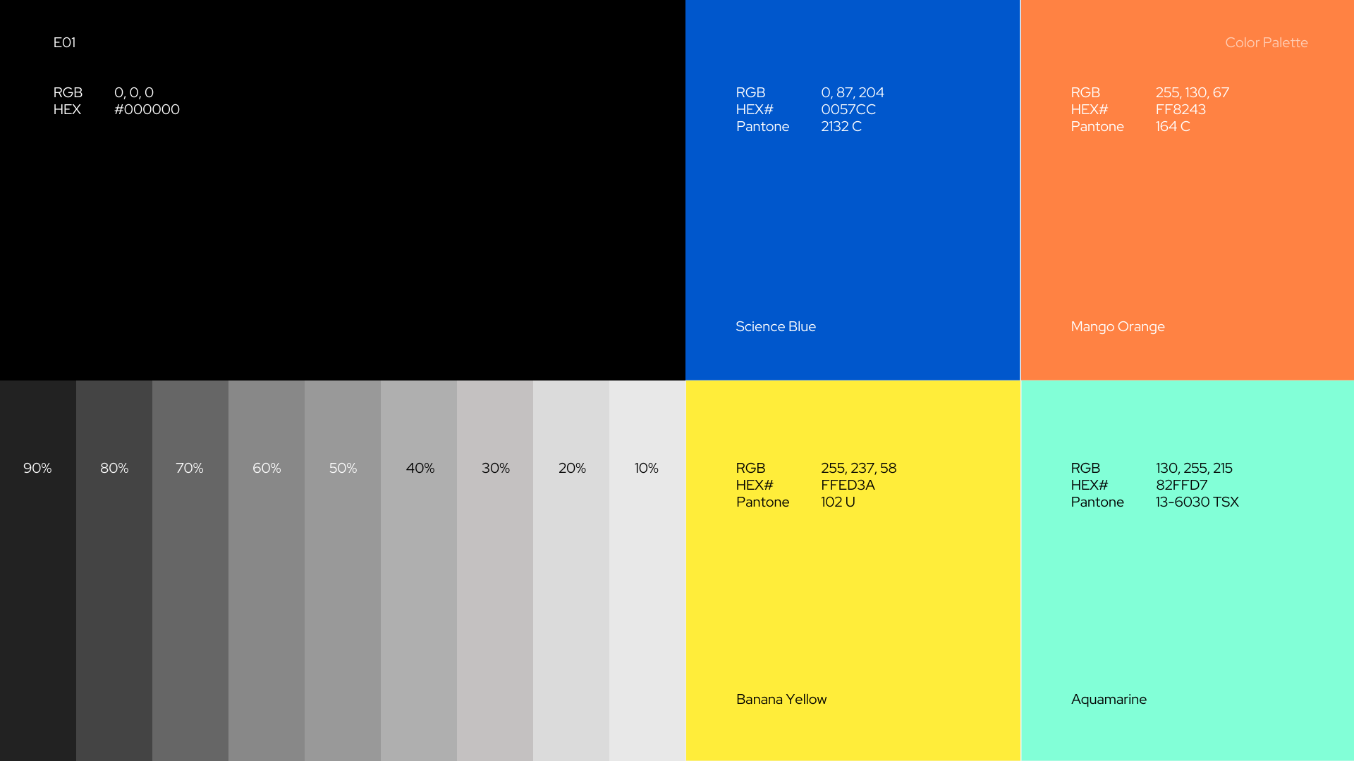 Accton Brand Identity – Palette