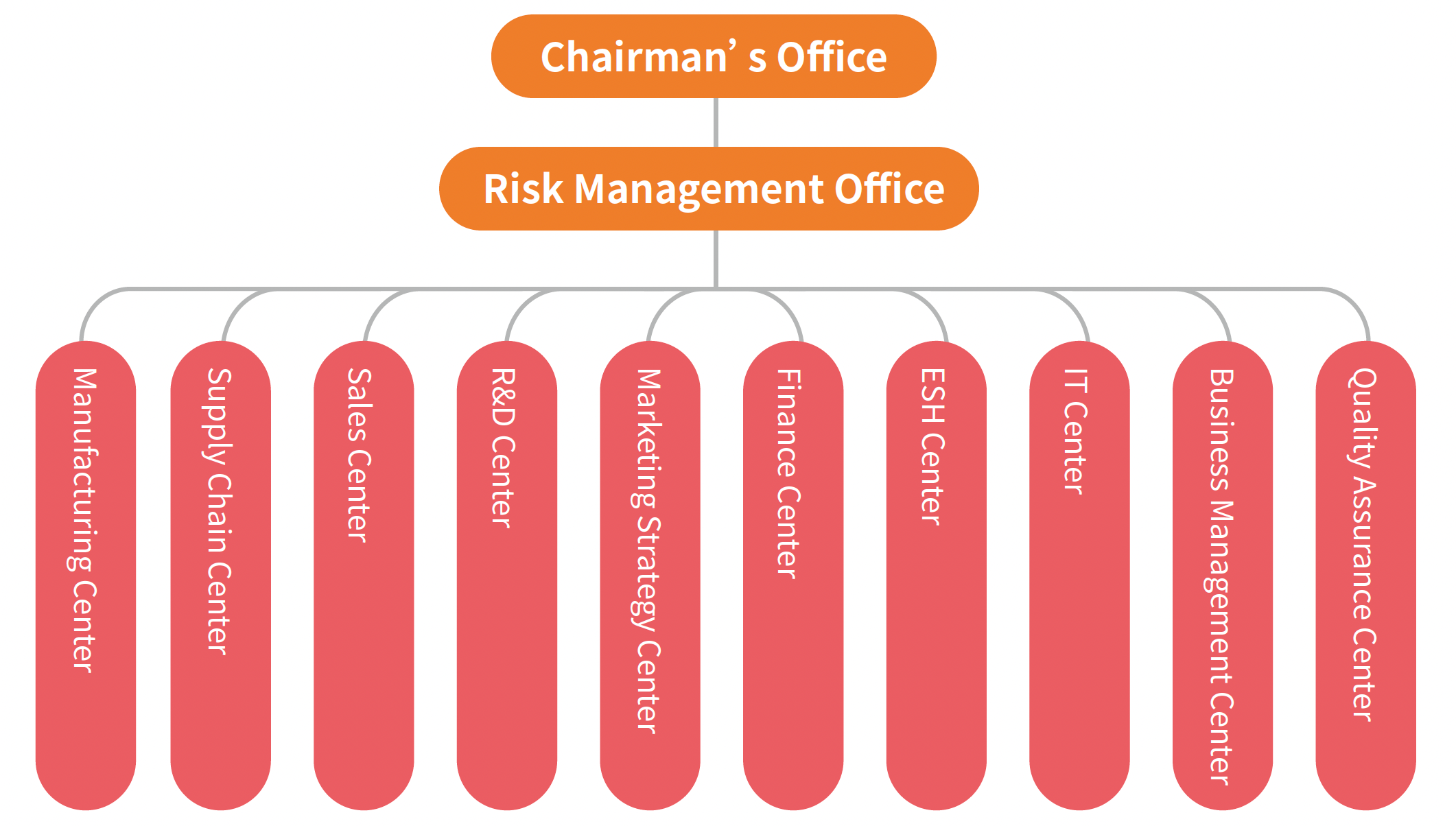 Risk Management Organization